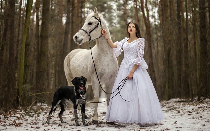 レトロなスタイル、白いドレスの女の子、馬、犬、森 壁紙 ピクチャー