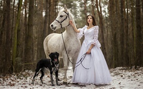 レトロなスタイル、白いドレスの女の子、馬、犬、森 HDの壁紙