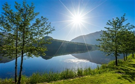 Vigesaa、ローガラン、ノルウェー、湖、木、日光