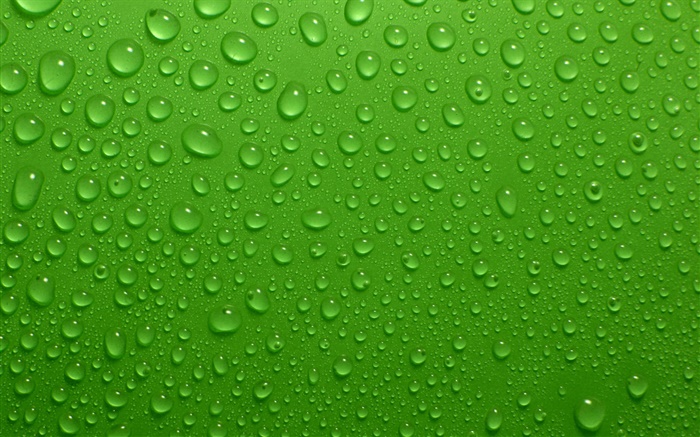 水滴、緑の背景 壁紙 ピクチャー
