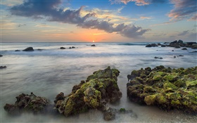 アルバ、カリブ海、嵐湾、石、海、海岸、夕日、雲 HDの壁紙