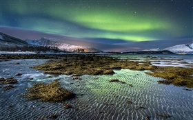 ノルウェー、オーロラ、夜、星、海、海岸、冬、雪 HDの壁紙