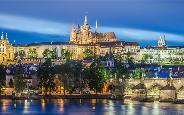 プラハ、チェコ共和国、川、橋、聖ヴィート大聖堂、夜、ライト 壁紙 ピクチャー
