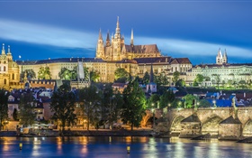 プラハ、チェコ共和国、川、橋、聖ヴィート大聖堂、夜、ライト