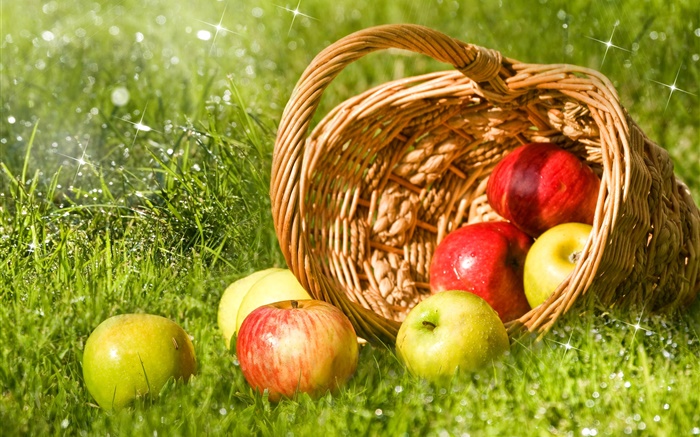 赤と緑のりんご、フルーツ、バスケット、草 壁紙 ピクチャー
