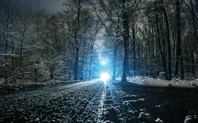 冬、道路、木、穴、雪、光