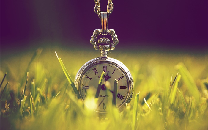 草の中に時計、グリーン、日光 壁紙 ピクチャー