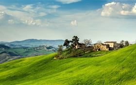イタリア、斜面、草、家、木、雲 HDの壁紙