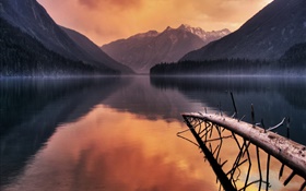 湖、枝、山、夕暮れ HDの壁紙