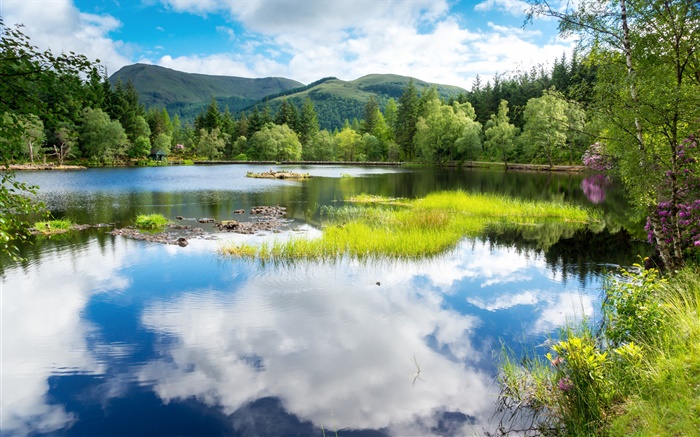 スコットランド、英国、緑、木、山、湖、水の反射 壁紙 ピクチャー