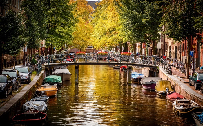 アムステルダム、オランダ、ブリッジ、川、ボート、家、木、秋 壁紙 ピクチャー