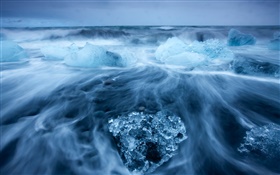 北極、青氷、海