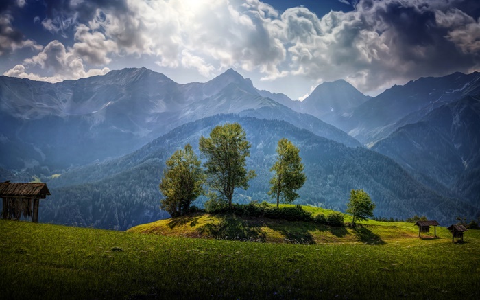 オーストリア、山、木、雲、草 壁紙 ピクチャー