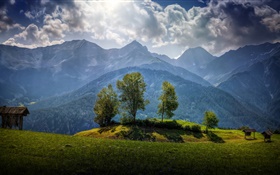 オーストリア、山、木、雲、草
