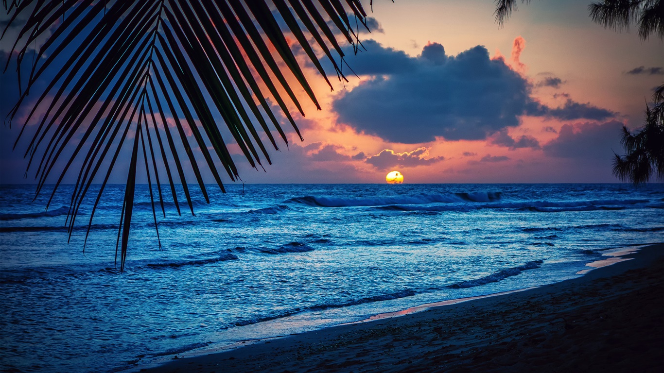 ビーチ 夜 夕焼け 雲 葉 カリブ海 デスクトップの壁紙 1366x768 壁紙をダウンロード Ja Hdwall365 Com