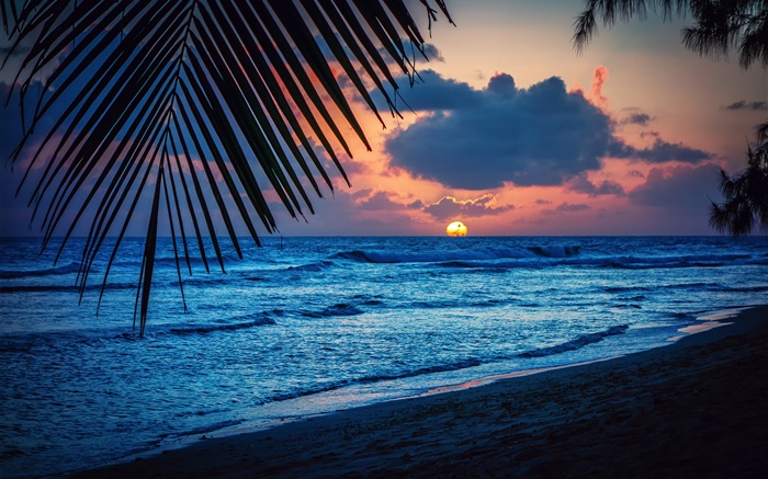 ビーチ、夜、夕焼け、雲、葉、カリブ海 壁紙 ピクチャー