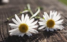 カモミール、白い花、木板