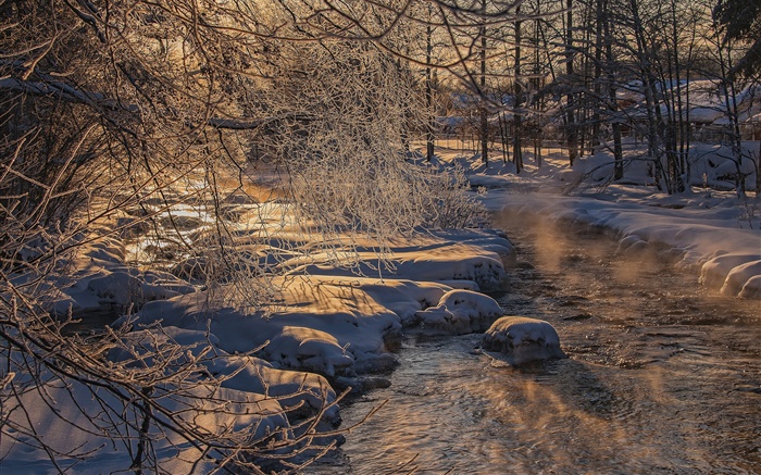 寒い冬、木、川、厚い雪 壁紙 ピクチャー