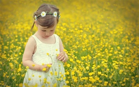 かわいい女の子の子、キャノーラの花のフィールド HDの壁紙