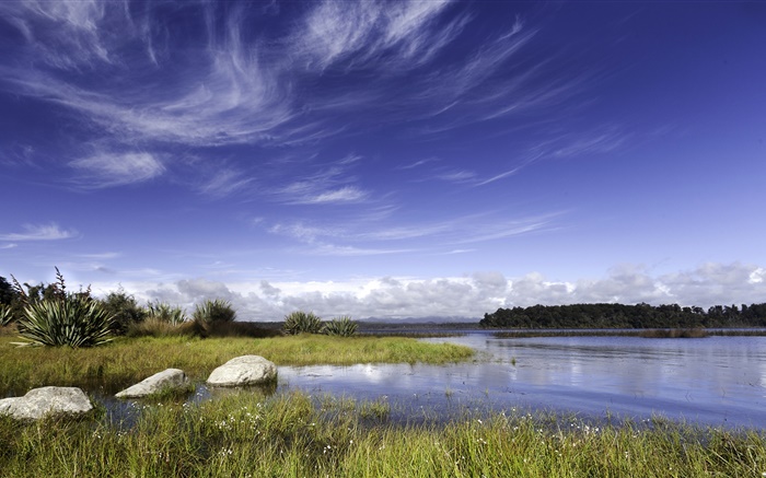 ニュージーランド、湖、岩、草、青い空、雲 壁紙 ピクチャー