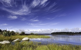 ニュージーランド、湖、岩、草、青い空、雲 HDの壁紙