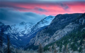 ロッキーマウンテン国立公園、コロラド州、アメリカ、山、木 HDの壁紙