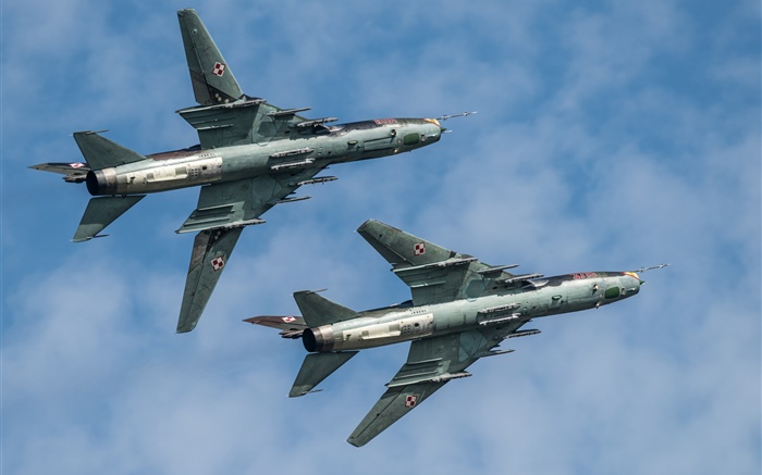 蘇22戦闘機、爆撃機、飛行、空 壁紙 ピクチャー