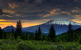 アメリカ、カリフォルニア州、山、木、雲、夕暮れ HDの壁紙