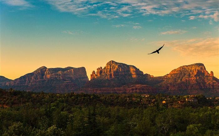 米国、アリゾナ州、山、夕日、鳥が飛んで、村、夕暮れ 壁紙 ピクチャー