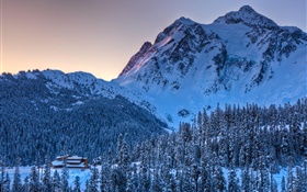 冬、雪、山、木、夕暮れ HDの壁紙