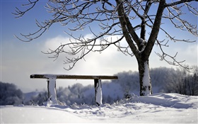 冬、雪、木、ベンチ