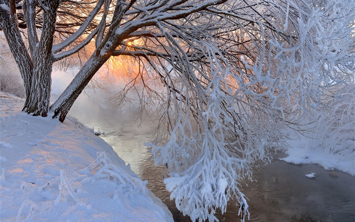 冬、厚い雪、木、小枝、川、日没 壁紙 ピクチャー