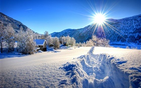 冬、厚い雪、木、家、日 HDの壁紙