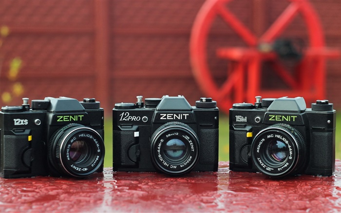ゼニト12XS、12Pro、15Mカメラ 壁紙 ピクチャー