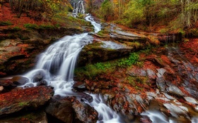 秋、森、川、ストリーム、滝、葉 HDの壁紙