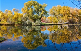 秋、池、湖、公園、木、水の反射
