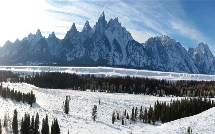 グランドティトン国立公園、ワイオミング州、アメリカ、冬、山、厚い雪 壁紙 ピクチャー