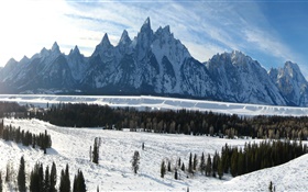 グランドティトン国立公園、ワイオミング州、アメリカ、冬、山、厚い雪 HDの壁紙