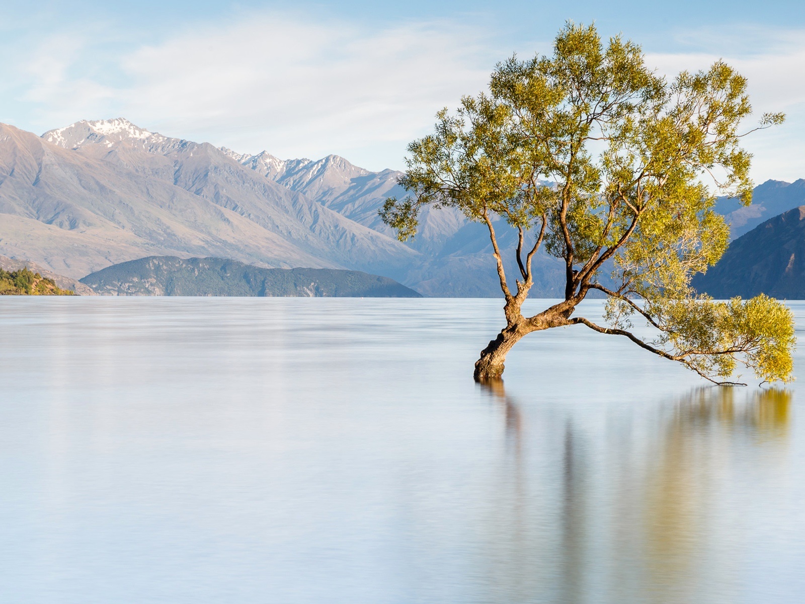 ニュージーランド 湖ワナカ 山 孤独な木 デスクトップの壁紙 1600x10 壁紙をダウンロード Ja Hdwall365 Com