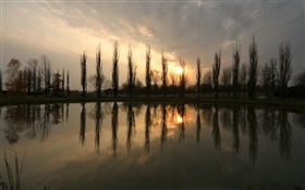 池、夕日、樹木 HDの壁紙