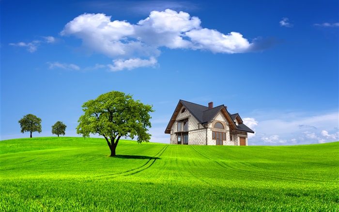 夏、家、木、フィールド、緑の草 壁紙 ピクチャー