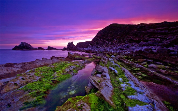 サンセット、海、海岸、石、苔、紫の空 壁紙 ピクチャー