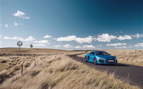 アウディR8 V10青い車、自然、草、道路 HDの壁紙