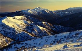 オーストラリア、山、雪、スロープ HDの壁紙