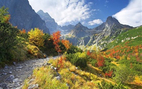 秋の自然、山、黄色の草、木、雲 HDの壁紙