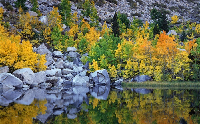 秋、木、岩、湖、水の反射 壁紙 ピクチャー