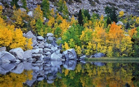 秋、木、岩、湖、水の反射 HDの壁紙