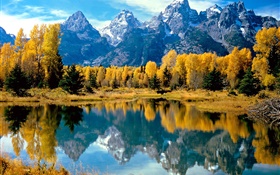 秋、木、黄色、湖、山 HDの壁紙