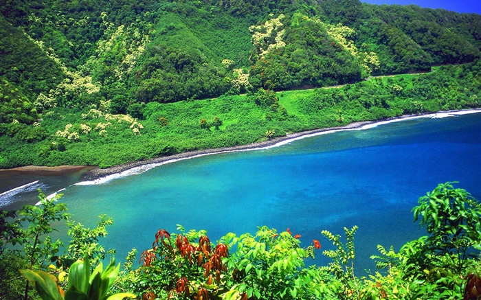 湾、海、山、緑の植物、ハワイ、アメリカ 壁紙 ピクチャー