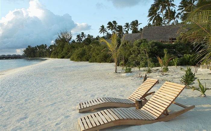ビーチ、椅子、ヤシの木、熱帯 壁紙 ピクチャー